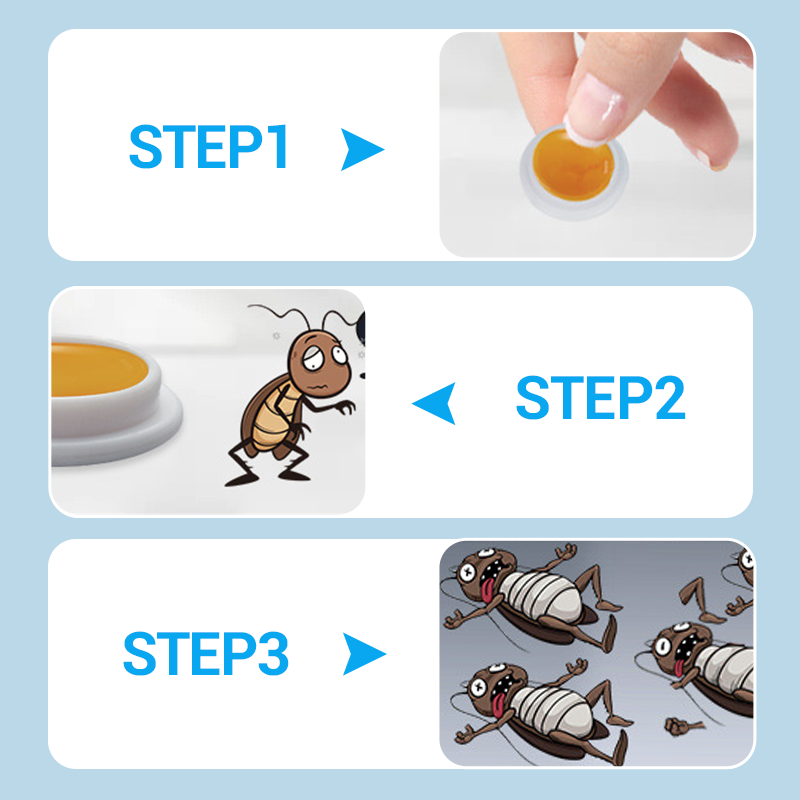 Oxibane™ - Appâts anti-cafards